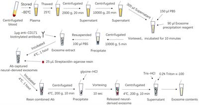 Evaluation of ferritin and TfR level in plasma neural-derived exosomes as potential markers of Parkinson’s disease